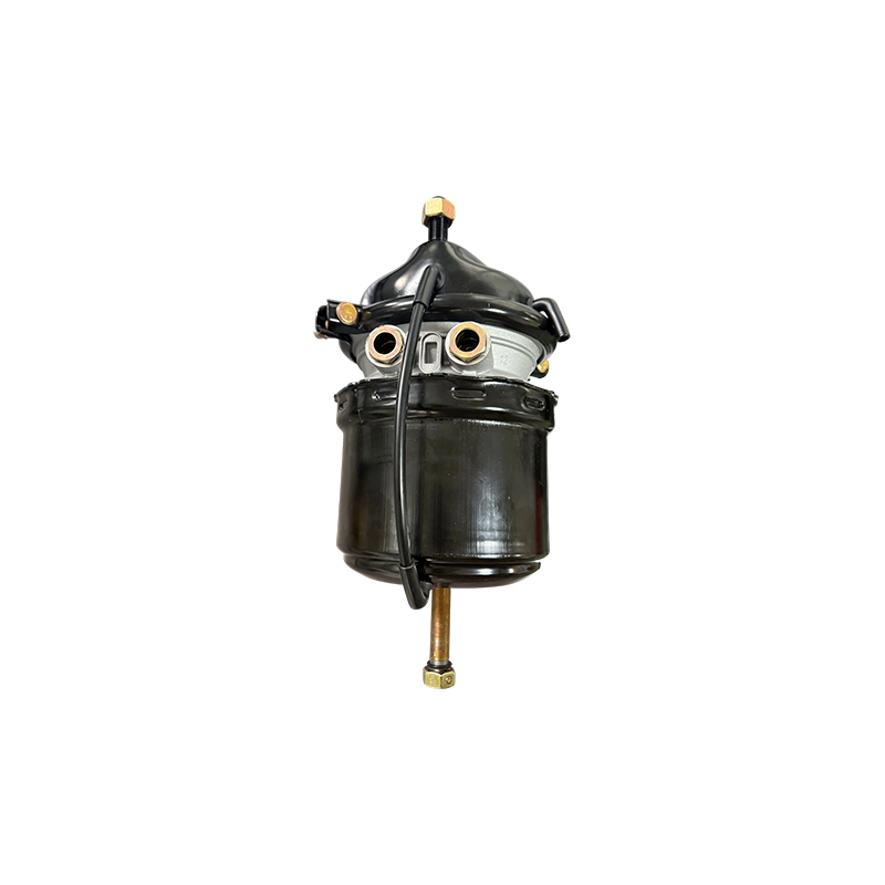 T2424DP corto con Voss