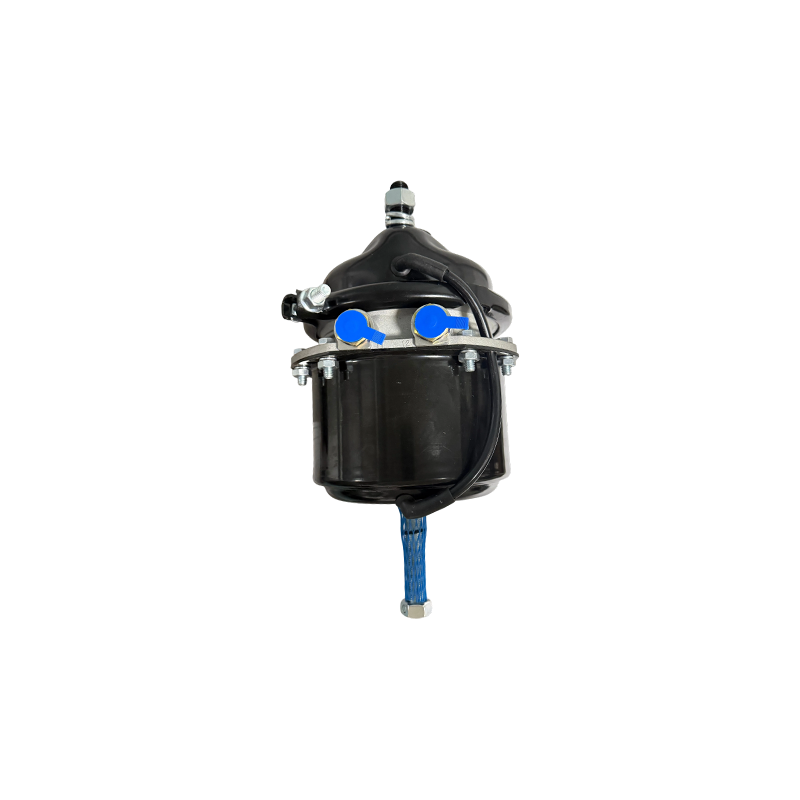 T2424DP corto con Voss